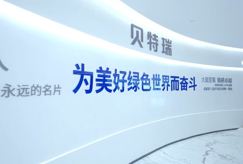 高首效硅氧負(fù)極材料奪冠灣高賽，賀雪琴深度解讀項(xiàng)目含金量